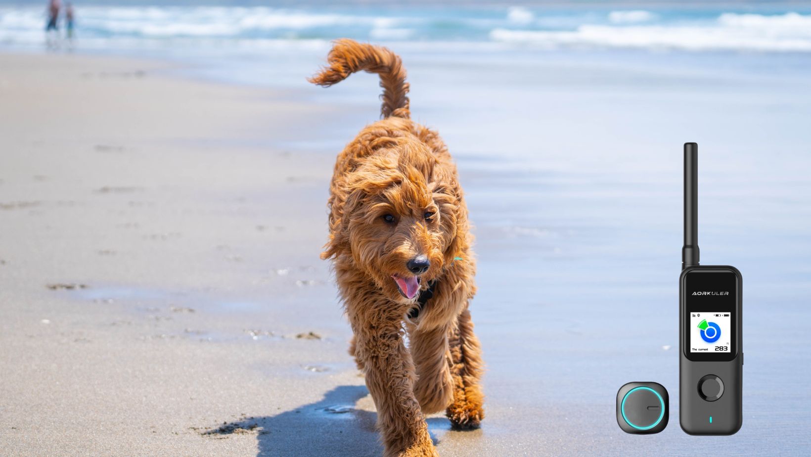 Six Convincing Reasons Why the Aorkuler Dog Tracker is Right For You